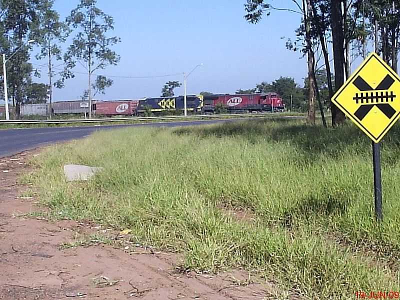 BUENO DE ANDRADA-SP-CRUZAMENTO DA FERROVIA-FOTO:MARCO AURLIO ESPARZA - BUENO DE ANDRADA - SP