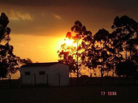 PR DO SOL NA REA RURAL EM BUENO DE ANDRADA-SP-FOTO:PATYPECEGUINIVIANA - BUENO DE ANDRADA - SP