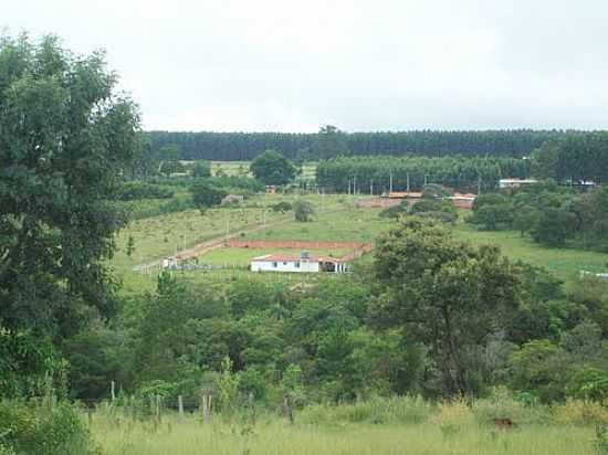 REA RURAL-FOTO:EUFRASIO - BURI - SP