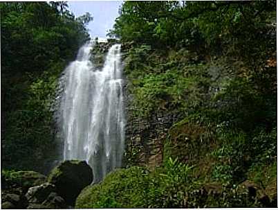 CACHOEIRA VU DA NOIVA-FOTO:RUBENS ALMEIDA - BURITIZAL - SP