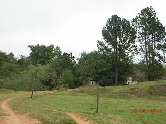 CAIABU-FOTO:DALTON BRAZIL - CAIABU - SP