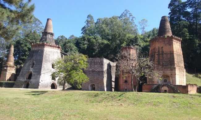 VISITA MELHORAMENTOS CAIEIRAS SP, POR SONNBERGER - CAIEIRAS - SP