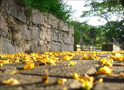 RUA DE CAIEIRAS-FOTO:ANDRE ASSUMPO - CAIEIRAS - SP