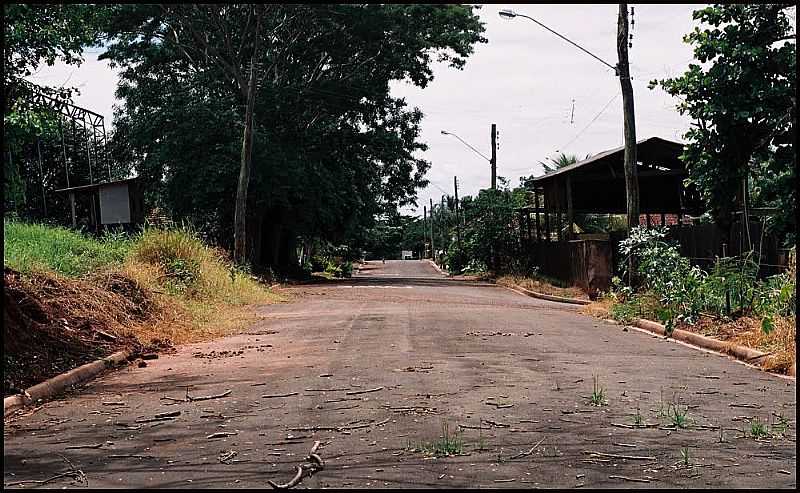 CAMBARATIBA-SP-RUA CAMBAR-FOTO:ZEKINHA - CAMBARATIBA - SP