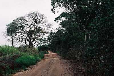 ESTRADA-FOTO:PRADO-BR2  - CAMBARATIBA - SP