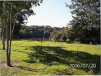 CAMPINA DO MONTE ALEGRE FOTO POR LUZIACRUZFRATA  - CAMPINA DO MONTE ALEGRE - SP