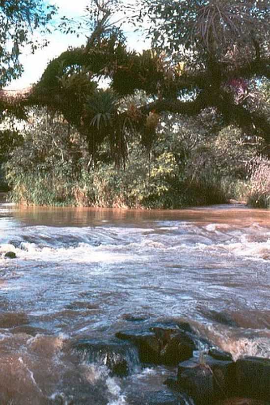SALTINHO DO PARANAPANEMA-FOTO:CELSO M. ANDRADE - CAMPINA DO MONTE ALEGRE - SP