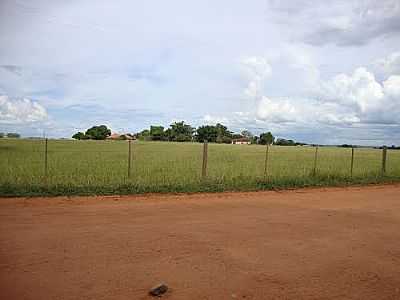 CAMPINAL-FOTO:L.S.MACEDO  - CAMPINAL - SP