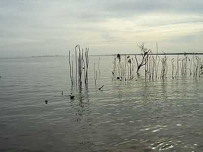 LAGO PORTO PRIMAVERA-FOTO:AUGUSTO MUNIZ  - CAMPINAL - SP