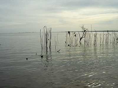 LAGO PORTO PRIMAVERA-FOTO:AUGUSTO MUNIZ  - CAMPINAL - SP