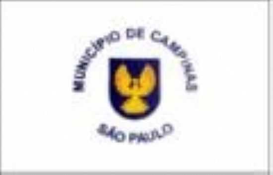 BANDEIRA DA CIDADE - CAMPINAS - SP