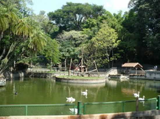 BOSQUE DOS JEQUITIBS-FOTO:CRISTIANO R. PENHA - CAMPINAS - SP