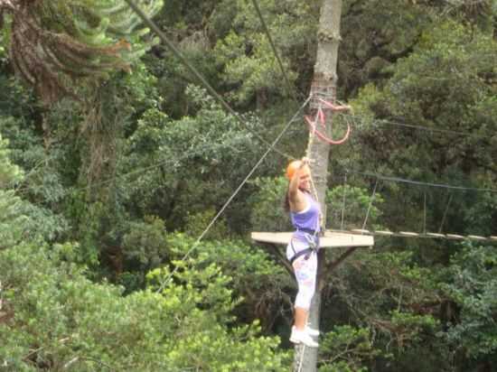 ARBORIAMO NO BOSQUE DO SILNCIO, POR EMMILY SANTOS - CAMPOS DO JORDO - SP