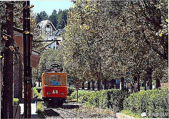 CAMPOS DO JORDO - SP - CAMPOS DO JORDO - SP