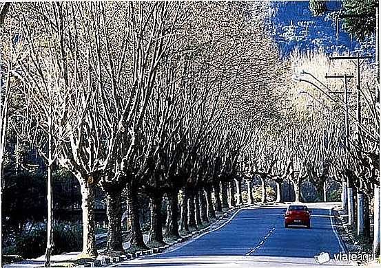 CAMPOS DO JORDO - SP - CAMPOS DO JORDO - SP