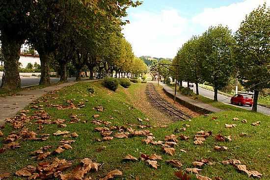 CAMPOS DO JORDO - SP - CAMPOS DO JORDO - SP