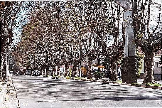 CAMPOS DO JORDO - SP - CAMPOS DO JORDO - SP