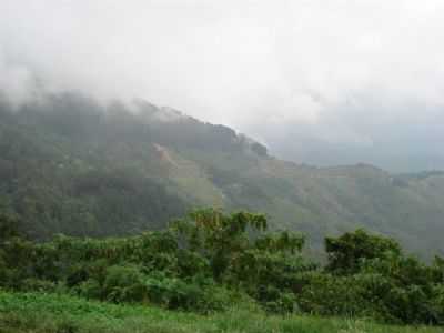VISTA DA SERRA DESCIDA DE CAMPOS J, POR WALKIRIA MELO (RECIFE-PE) - CAMPOS DO JORDO - SP