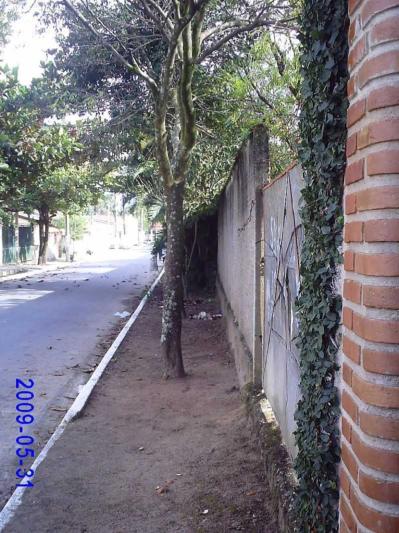 CANAS-SP-RUA M.H.BUZZATTO DE OLIVEIRA-FOTO:ENIVALDOCRUZ - CANAS - SP