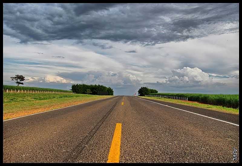 RODOVIA DO ACAR - SP - 308 - CAPIVARI - SP - POR ANTONIOVIDALPHOTOGRAPHY - CAPIVARI - SP