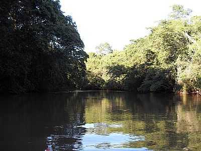 RIO TURVO-FOTO:J.ROBERTO B. LAMOSO   - CAPORANGA - SP