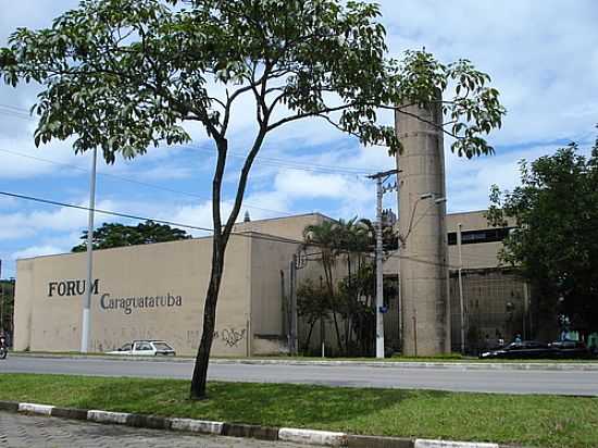 FRUM FOTO POR LEONIR ANGELO LUNARDI  - CARAGUATATUBA - SP