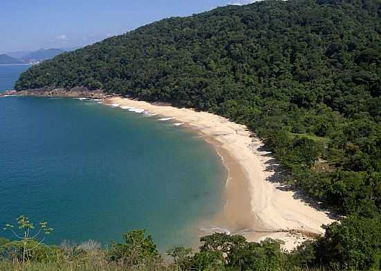 PRAIA DA FIGUEIRA EM CARAGUATATUBA-SP - CARAGUATATUBA - SP