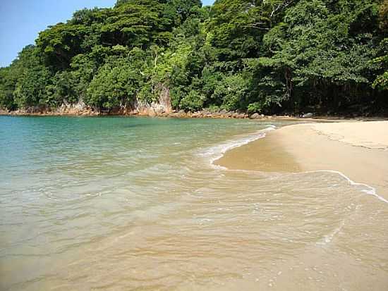 PRAIA DO PULSO EM CARAGUATATUBA-SP - CARAGUATATUBA - SP