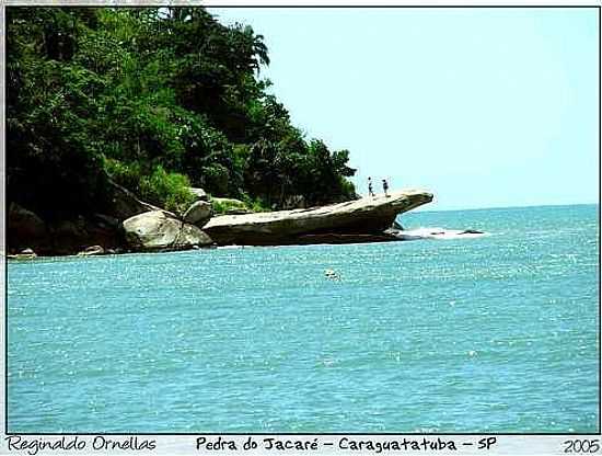 PEDRA DO JACAR FOTO
POR ARNALDO-SP - CARAGUATATUBA - SP