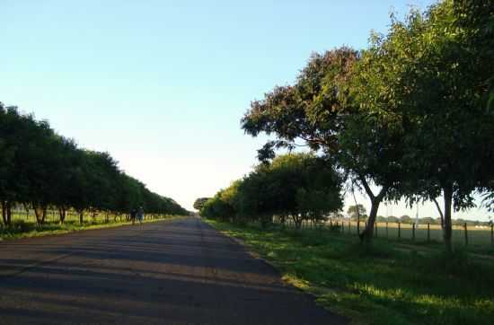 VILA BALBINO, POR PARISIENSE  - CARDOSO - SP