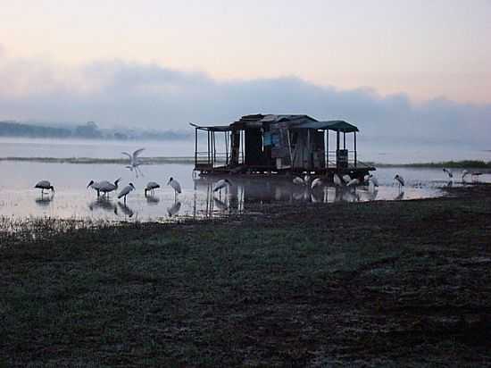 GARAS NO LAGO EM CARDOSO-SP - CARDOSO - SP
