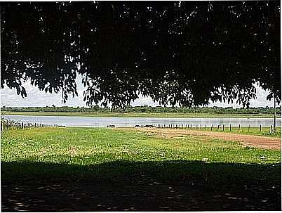 PRAINHA-FOTO:GIBA10  - CARDOSO - SP