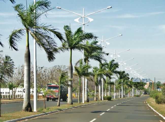 AVENIDA GETULIO VARGAS, POR HENRIQUE - CASTILHO - SP