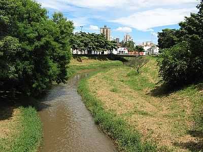 RIO SO DOMINGOS FOTO
POR ANDR BONACIN  - CATANDUVA - SP