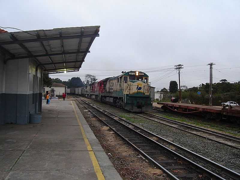 ESTAO POR VINICIUS GONALVES  - CAUCAIA DO ALTO - SP