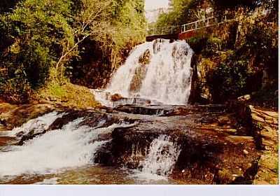 CACHOREIRA DO SALTINHO - CERQUEIRA CSAR - SP