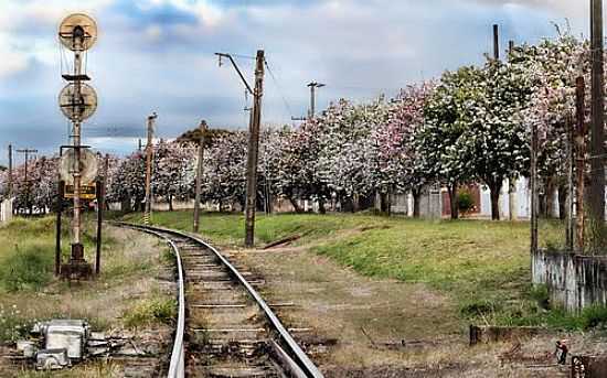 ESTRADA DE FERRO-FOTO:FOTOMARCO3D - CERQUEIRA CSAR - SP