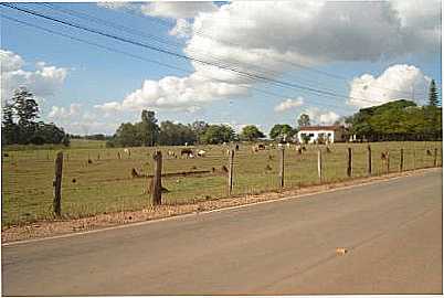 CERQUILHO, POR JOO SAVIOLI - CERQUILHO - SP