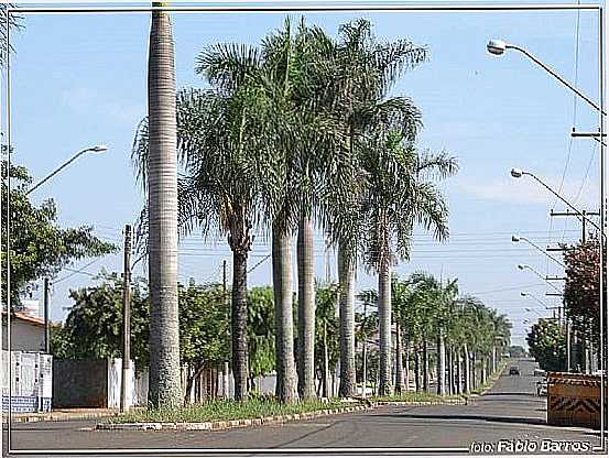 CERQUILHO-SP-AVENIDA CORRADI-FOTO:FBIO BARROS - CERQUILHO - SP