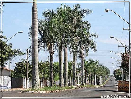 CERQUILHO-SP-AVENIDA CORRADI-FOTO:FBIO BARROS - CERQUILHO - SP