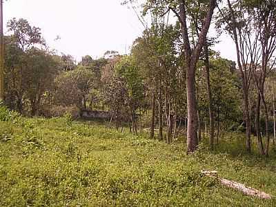 CHCARA DAS AMEIXEIRAS-FOTO:DANILOSILVA1610 - CIP-GUAU - SP