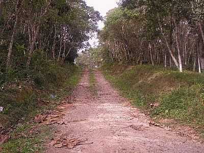 ESTRADA MARTINHO VIEIRA DE ANDRADE-FOTO:DANILOSILVA1610 - CIP-GUAU - SP