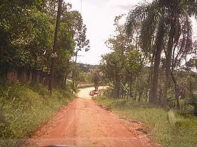 RUA ARTHUR F.LUTA-FOTO:DANILOSILVA1610 - CIP-GUAU - SP