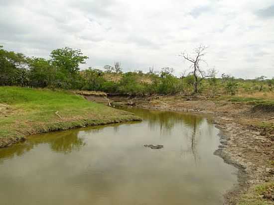 RIOS CAPIVARA E PAU A PIQUE J UNIDOS EM PAU A PIQUE-BA-FOTO:HAMILTON SALGADLIA - PAU A PIQUE - BA