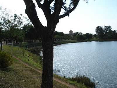 LAGO MUNICIPAL  FOTO
POR LPSPPS  - CONCHAL - SP