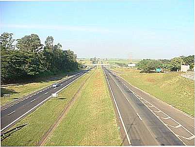 RODOVIA WASHINGTON LUIZ - CORDEIRPOLIS - SP