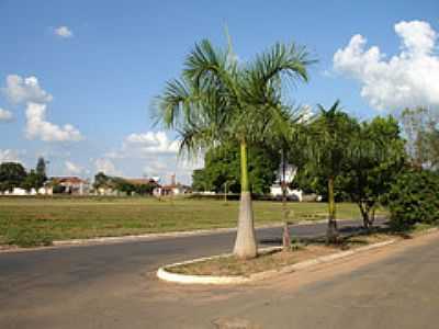 AVENIDA-FOTO:MARCELO SZK - COROADOS - SP