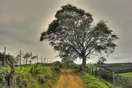 SERRA DE MACEDO - CORONEL MACEDO - SP