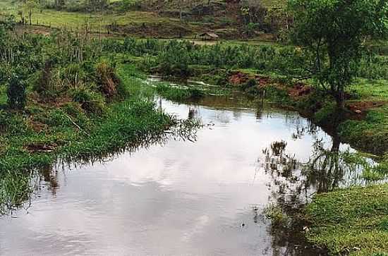 RIBEIRO-FOTO:CASSIO CURURU - CORREDEIRA - SP