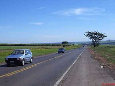 RODOVIA-FOTO:MARCO AURELIO ESPARZ - CRREGO RICO - SP